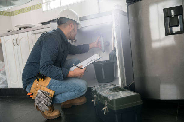 Best Commercial Plumbing Services  in Home Gardens, CA