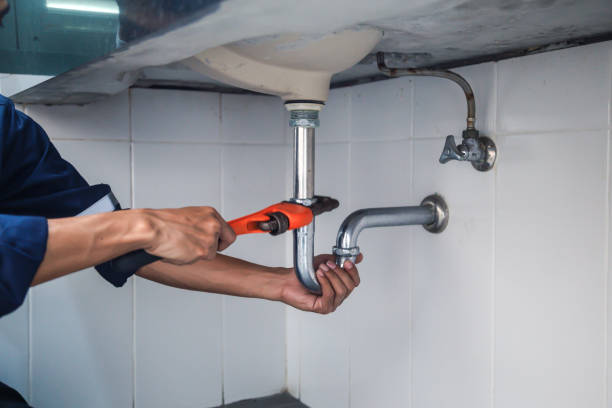 Best Clogged Drain Plumber  in Home Gardens, CA
