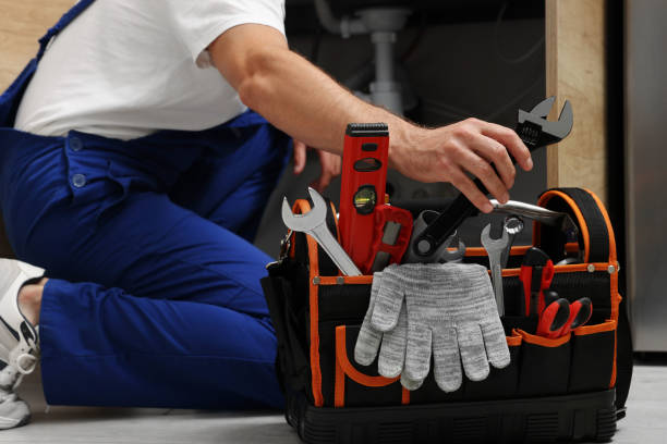 Best Local Plumber Services  in Home Gardens, CA